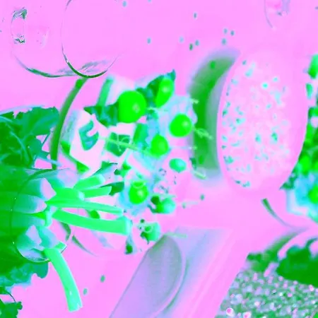 Maltepe 2000 Hotel Ankara