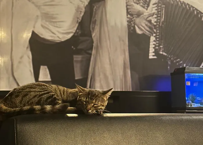 ホテル マルテペ 2000 3*