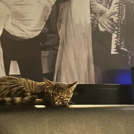 Hotel Maltepe 2000 3*